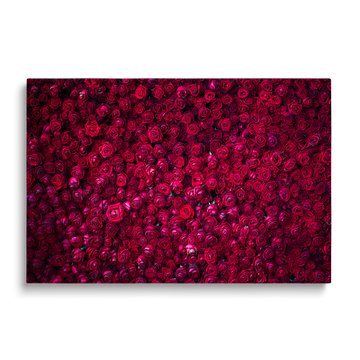 RED ROSES